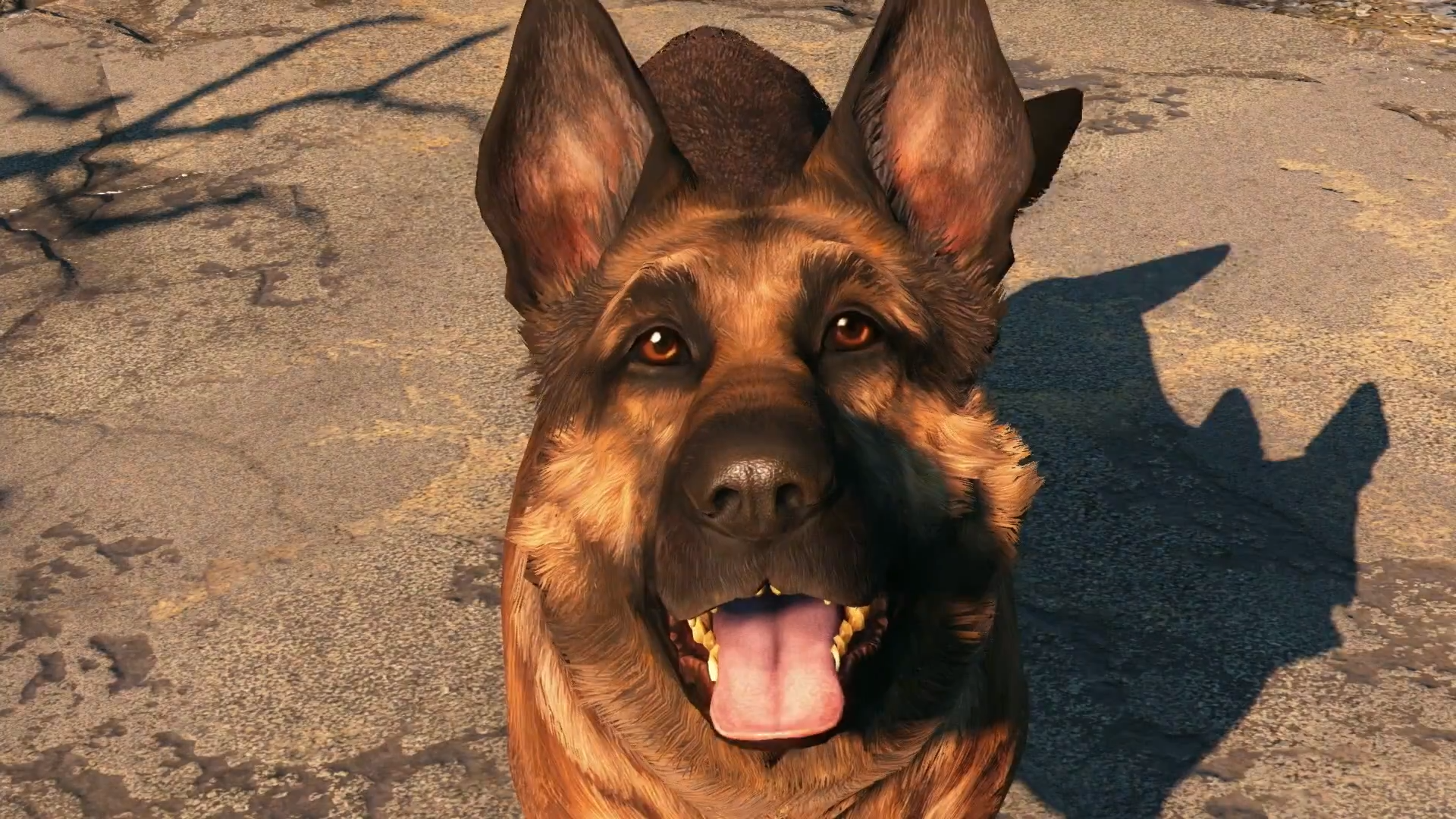Dogmeat (Fallout 4) | Fallout Wiki | FANDOM powered by Wikia