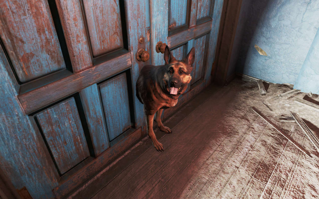 Fallout 4 будка собаки фото 35