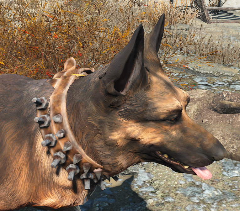 Spiked Dog Collar Fallout Spiked Dog Collar Fallout