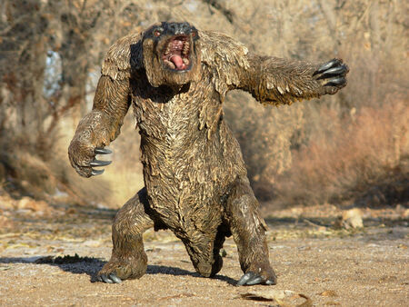Mapinguari internet01.jpg