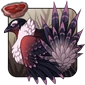 Coral_Grouse.png