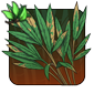 Bamboo_Leaves.png