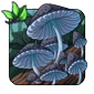 Blue_Entoloma.png