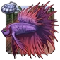 Crowntail_Wanderer.png