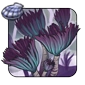 Dark-Tufted_Featherduster.png