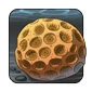 Reefsnail_Egg.png