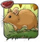 Sun_Flecked_Fieldmouse.png
