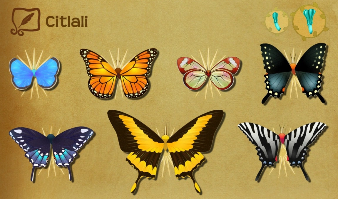 Citlali Flutter Butterfly Sanctuary Wiki FANDOM powered by Wikia