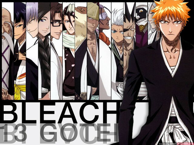 File:10338-BLEACH-13 Gotei.jpg