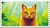Warrior stamp