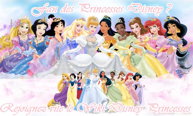 Fichier:Wiki Disney Princesses.jpg