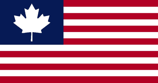 RNA flag
