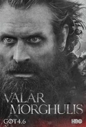 Tormund-202x300.jpeg (1.09 MB) Tormund-202x300