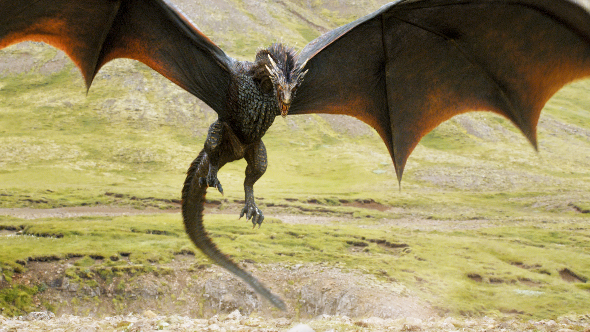 Image result for dragon on game of thrones