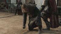 Eddard injured