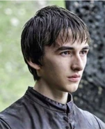 Bran s6.jpg (28 KB) Bran s6