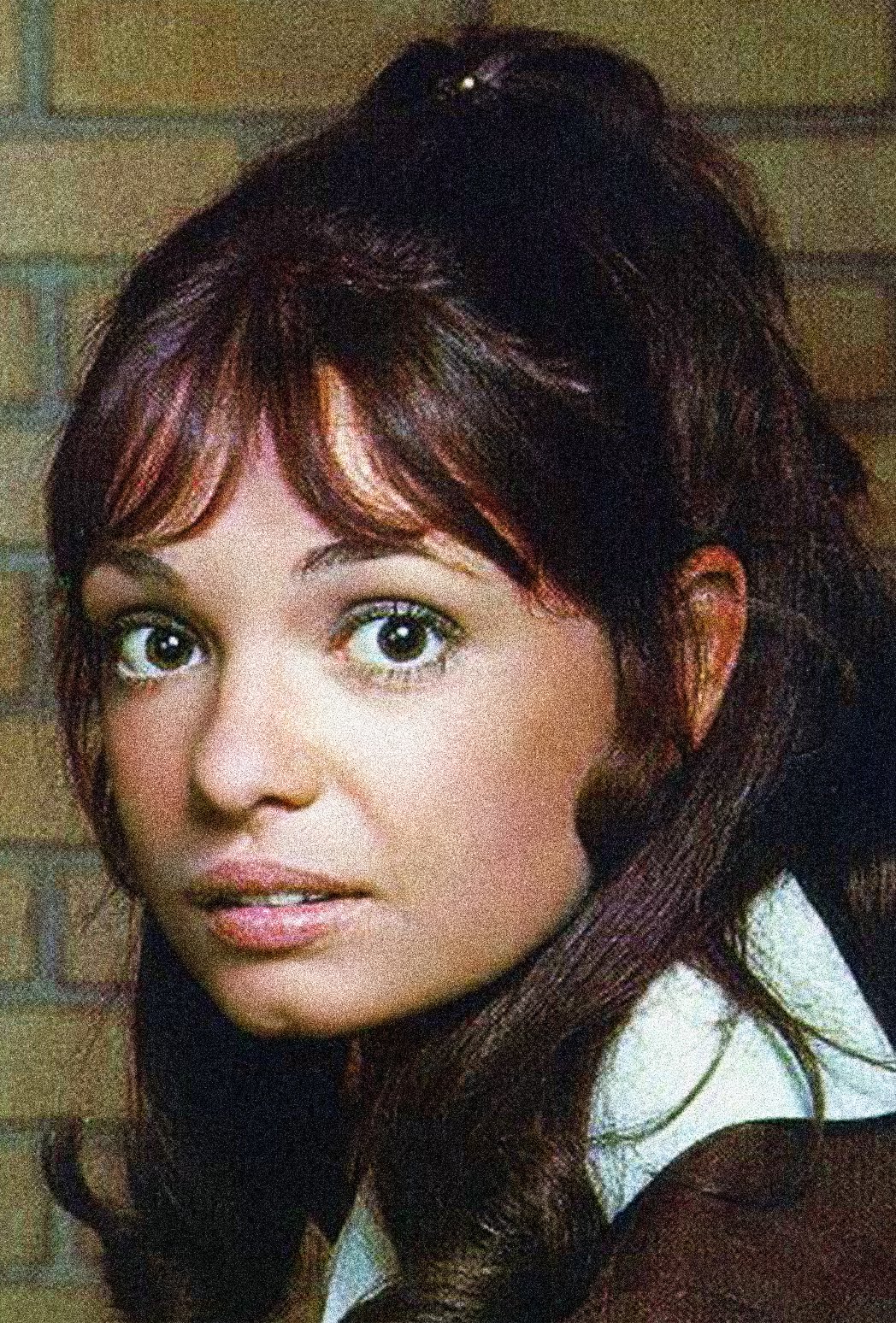 Karen Valentine Game Shows Wiki Fandom powered by Wikia