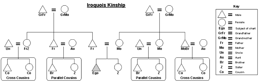 iroquois kinship familypedia fandom powered by wikia kinship chart
