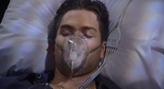 Treyhospital