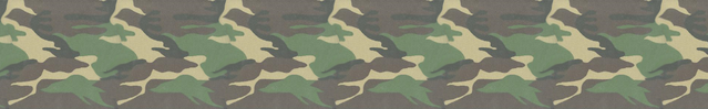 File:Accent2.png