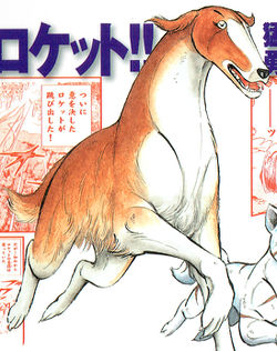 Rocket | Ginga Wiki | Fandom powered by Wikia