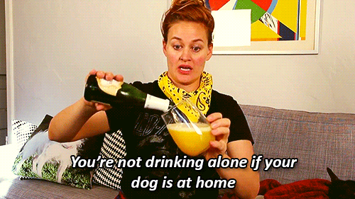 Youre_not_drinking_alone_if_your_dog_is_at_home.gif