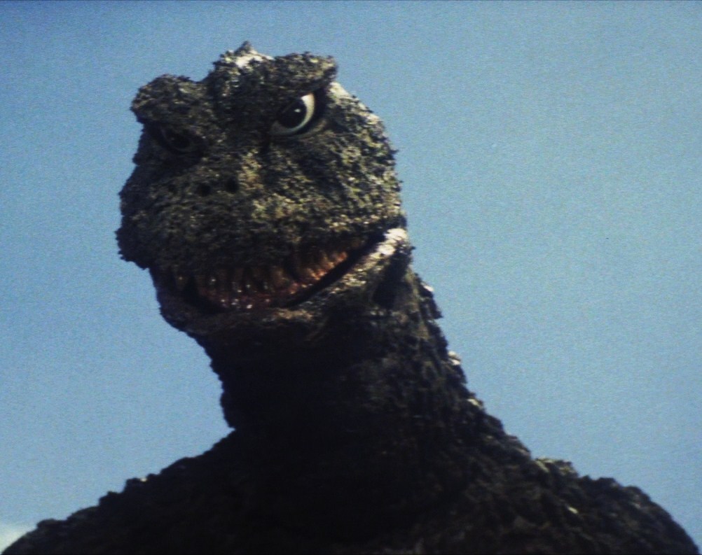 Godzilla Showa, there were many different looks to Showa Godzilla, this is from 1964, the Showa version of Godzilla is considerably weaker than the Heisei and Millennium Godzillas