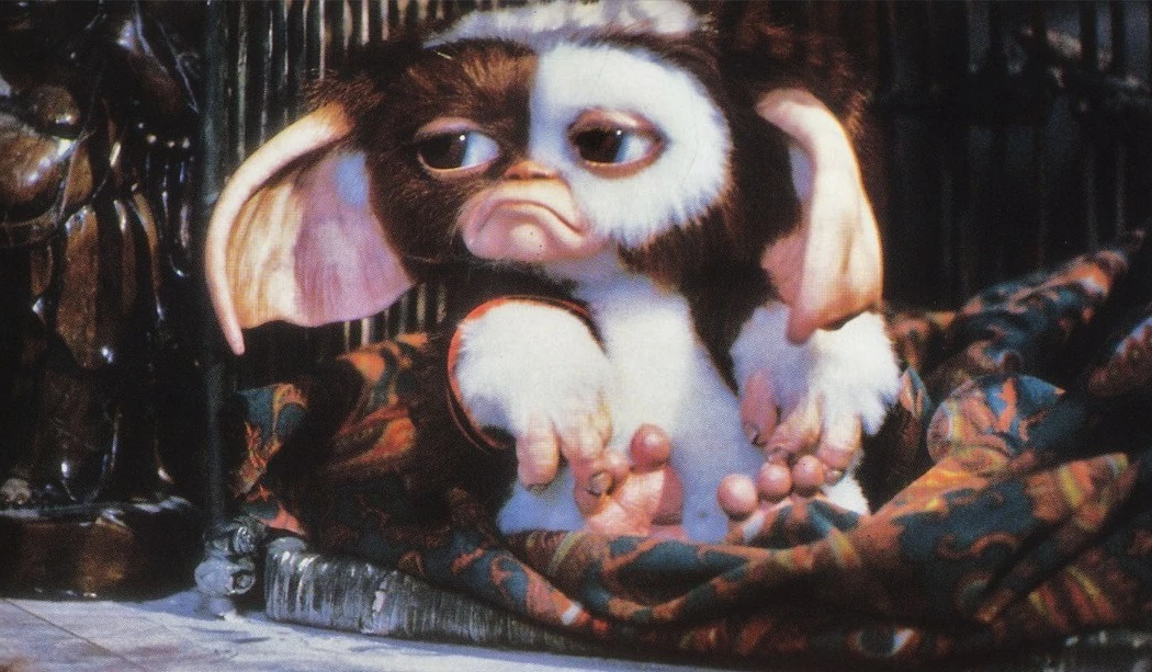 Gremlins Wiki:Templates | Gremlins Wiki | Fandom powered by Wikia