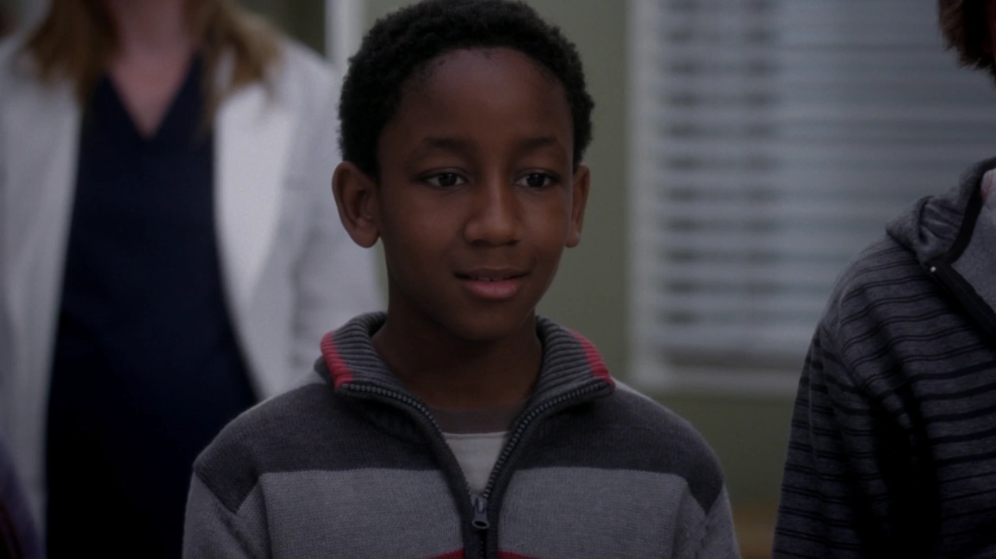 Adam - Grey's Anatomy and Private Practice Wiki - Wikia