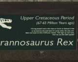 Libertonian-TLAD-FossilTyrannosaurusPlaque