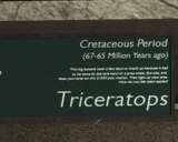Libertonian-TLAD-FossilTriceratopsPlaque