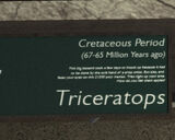 Libertonian-TLAD-FossilTriceratopsPlaque