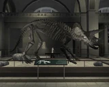 Libertonian-TLAD-FossilTriceratops