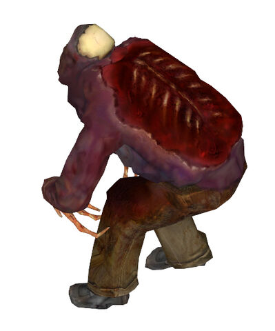 File:Zombie poison back beta.jpg