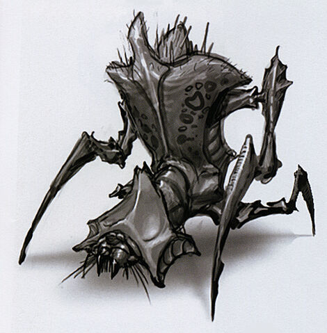 File:Antlion con.jpg