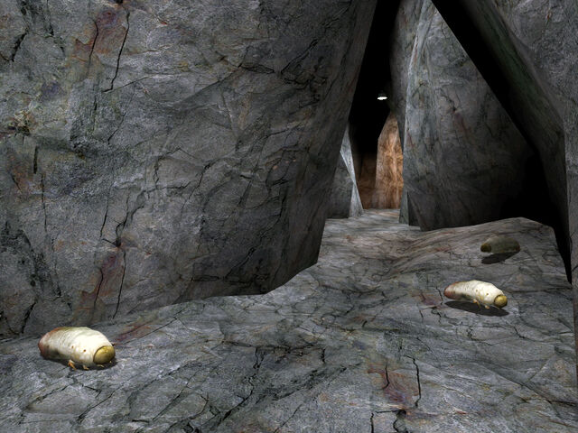 File:Antcave02.jpg