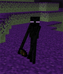 Baby Enderman | Hardco...