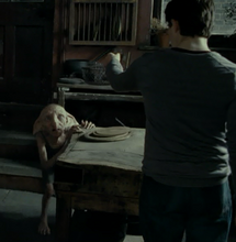 Harry asks Kreacher about the real Horcrux.png