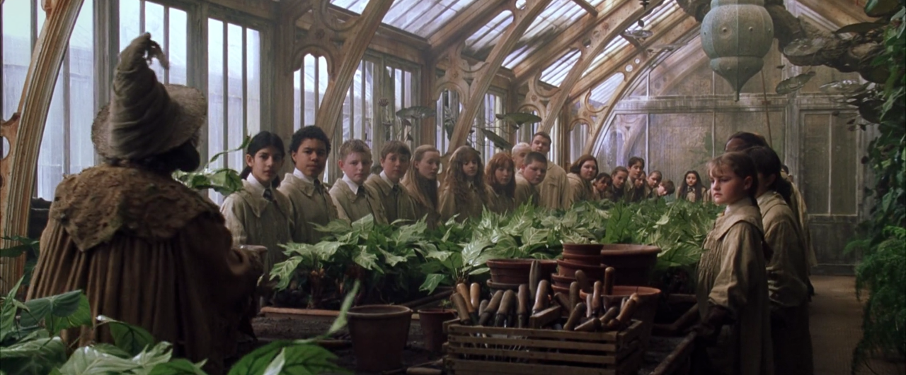 herbology classroom harry potter wiki fandom powered herbology classroom harry potter wiki fandom powered
