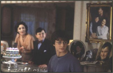 harry potter and the chamber of secrets cast wiki