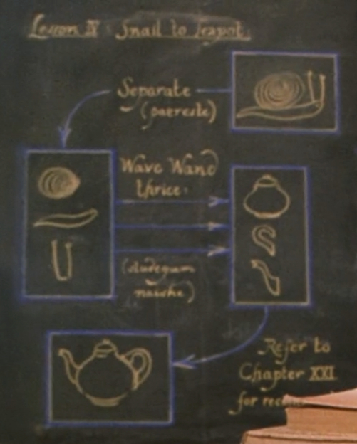 Métamorphose d'un escargot en théière | Wiki Harry Potter ... snail diagram 
