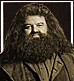 Bullet-hagrid.png