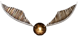 Golden Snitch.