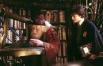 Dumbledore and Fawkes.jpg