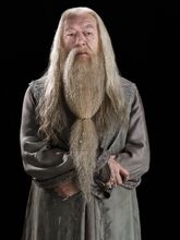 Image result for dumbledore