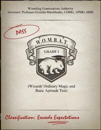 Exceeds Expectations WOMBAT.jpg