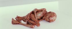 Voldemort&#039;s mutilated soul