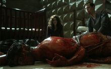 Hemlock-grove-ep-209-peter-destiny-roman