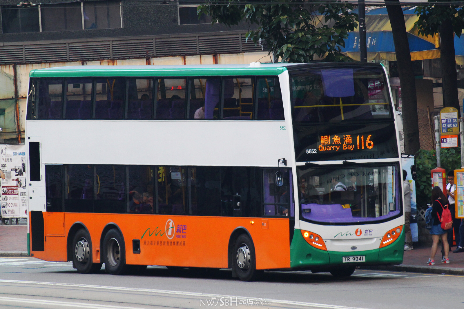 過海隧巴116線 | 香港巴士大典 | Fandom