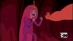 DPLAP112.png